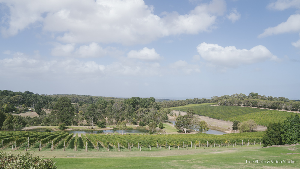 engagement 137 - 11 Terrific Wedding Venues in Mornington Peninsula